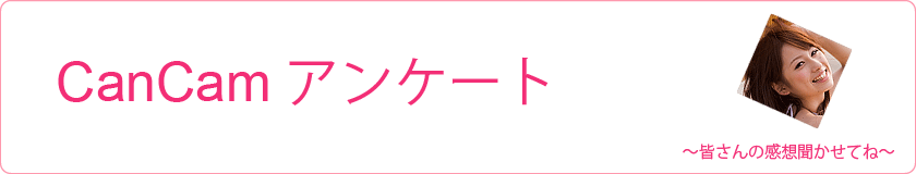 アンケートタイトル　画像
