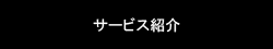 サービス紹介　ローカルナビゲーションタイトル